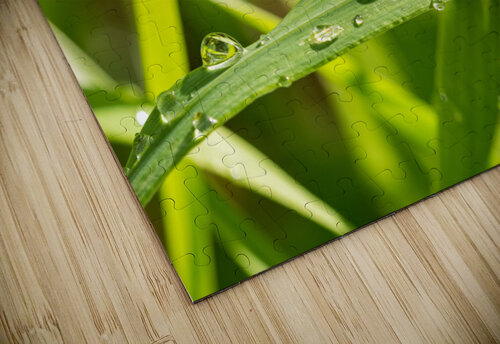 Dewdrops on Grass caladoart puzzle
