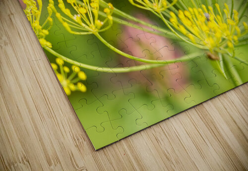 Fennel Flowers  caladoart puzzle