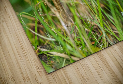 Mushrooms in the Grass caladoart puzzle