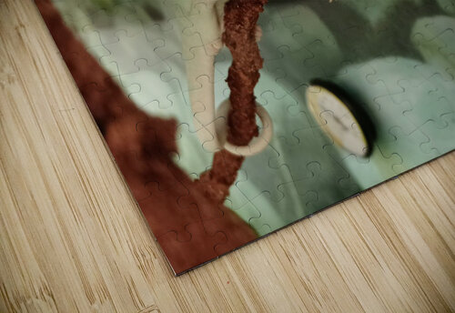 Chameleon Anitra K Acuna puzzle