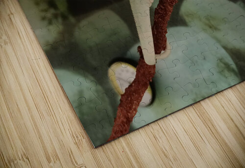 Chameleon Anitra K Acuna puzzle
