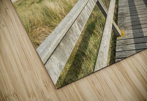 Talk a Walk in the Dunes caladoart puzzle