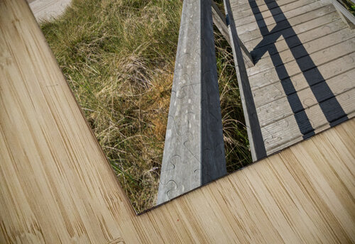 Foot Bridge in the Dunes caladoart puzzle