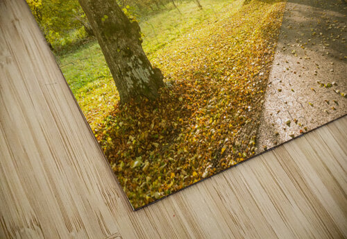 Autumn Road caladoart puzzle