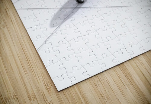 Airplane wire model 3D illustration Alex Mit puzzle