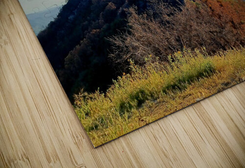 Hwy 198 Sequoia and Kings Canyon National Park  Anitra K Acuna puzzle