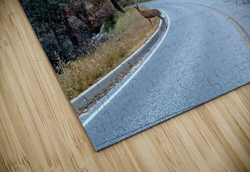 Deer 1 Anitra K Acuna puzzle