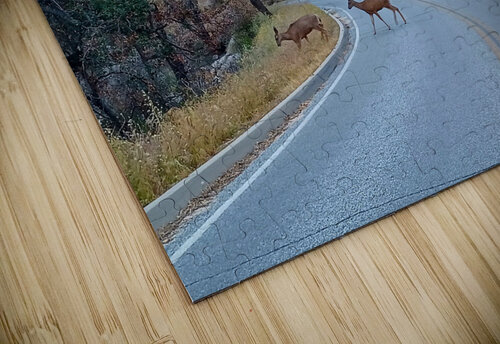 Deer 2 Anitra K Acuna puzzle