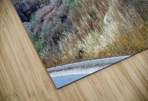 Deer 3 Anitra K Acuna puzzle