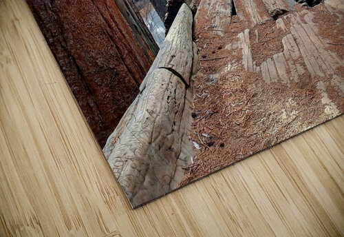 Auto Log- Sequoia National Park  Anitra K Acuna puzzle