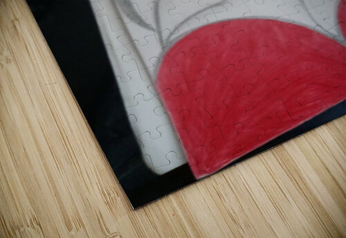 16522279366061088121339712905511 Miosha Johnson puzzle