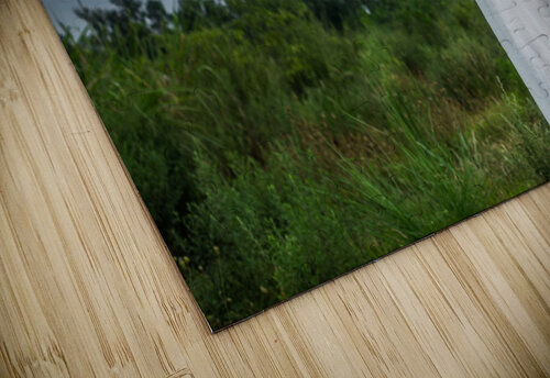 Young Chinese woman wearing a white dress in nature Philippe Lejeanvre puzzle
