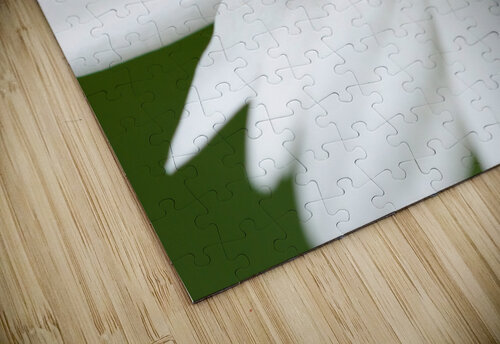 Ladybug on white petals of a flower Philippe Lejeanvre puzzle