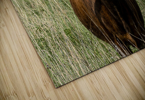 Posey Susan Diann Photography puzzle