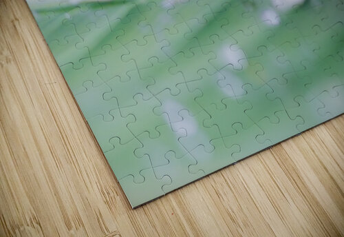 water drops on a leaf after the rain Philippe Lejeanvre puzzle