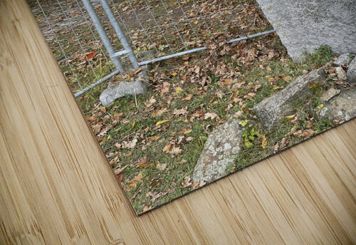 2BE03DA7 48E2 4617 9203 5B24AE5CC2E2 erin insalaco puzzle