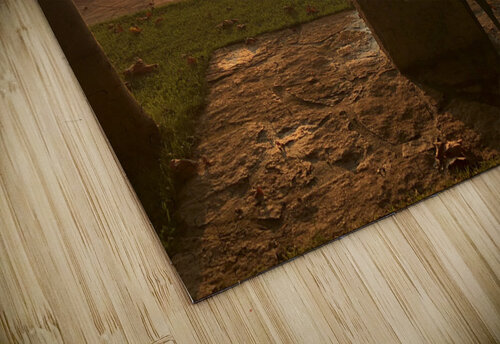 A481CE8B A1C4 43BE 9C77 16288824BC3C erin insalaco puzzle