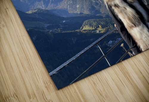 EDC50A89 178C 4A93 9F47 E07CE2385417 erin insalaco puzzle