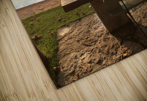 CD0E77B8 8AEE 432F 9987 4D188FCACB51 erin insalaco puzzle