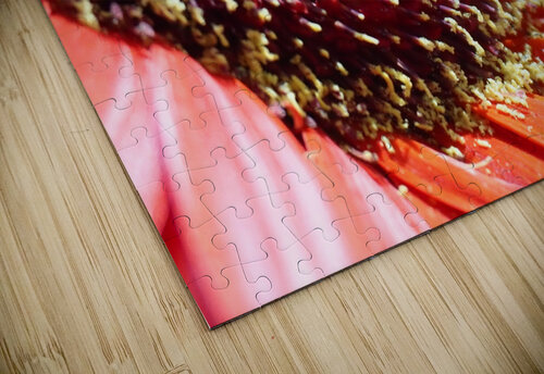 Red Daisy H20colorartist puzzle