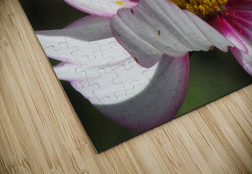 Pollinator H20colorartist puzzle