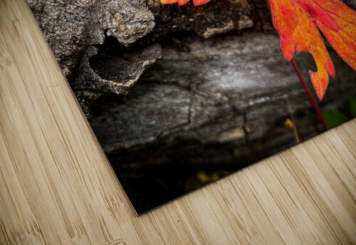 A468AFF5 0E35 4D8C 8A2E BB3168E7E78D RJohnson puzzle