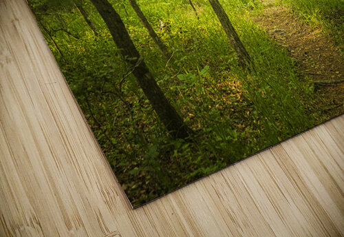 2022 May 04 IndianCrk01 Robert Decker puzzle