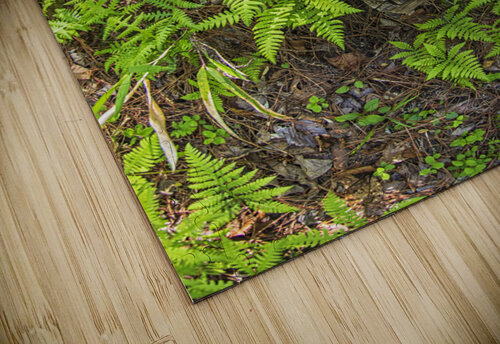 2022 April 17 Fallen01 Robert Decker puzzle