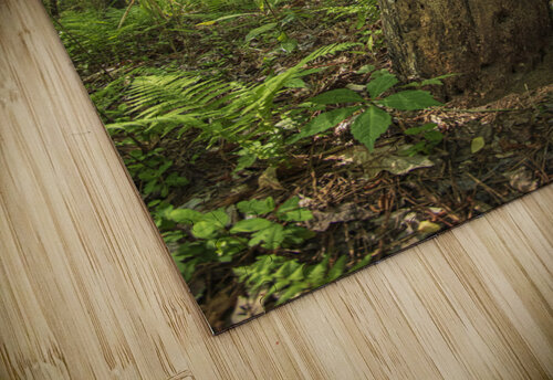 2022 April 17 Stump01 Robert Decker puzzle