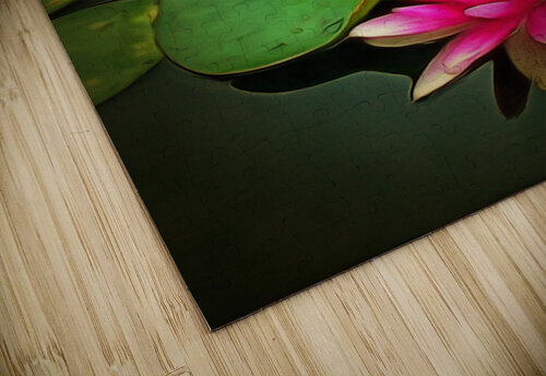 k 8 11o 76b   The Water Lilies Judi Barnett puzzle