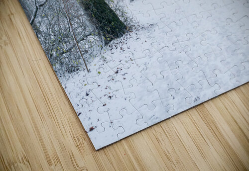 Path in a forest under the snow in winter Philippe Lejeanvre puzzle