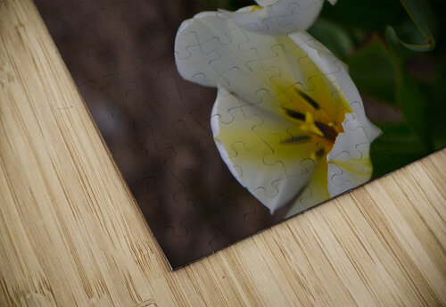 13120CDE 6318 4CF4 8150 C0F030A7166C Danielle Ball puzzle