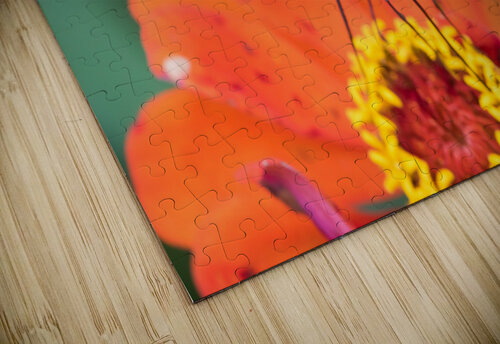 Black butterfly on a red flower Philippe Lejeanvre puzzle