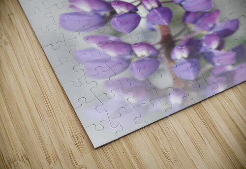 6DA728DD D5BE 4999 BCA9 05CE56D0B715 Danielle Ball puzzle