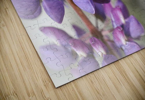 C7C17AC9 0B65 429C 8DB7 C6CEF130F4DC Danielle Ball puzzle