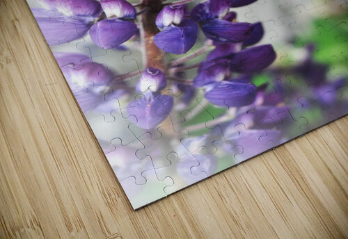 ED964EA7 670A 4B7A 9FD5 14459CFDC15B Danielle Ball puzzle