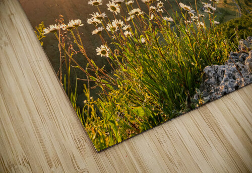Mountain Flowers caladoart puzzle