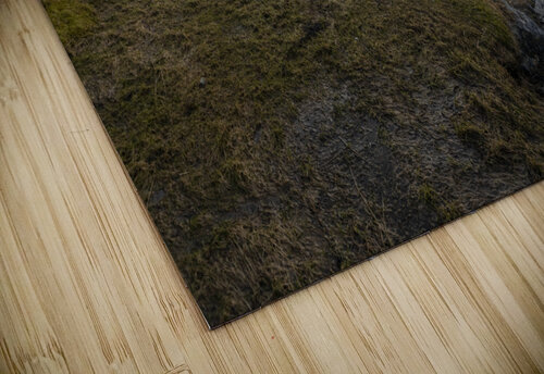 Lofoten Islands - Brenna Frank Pietersen puzzle