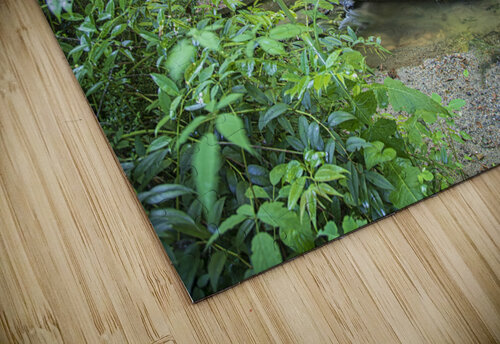 2022 June 20 RusticBridge01 Robert Decker puzzle