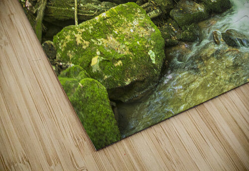 2022 June 20 NoNameFalls01 Robert Decker puzzle