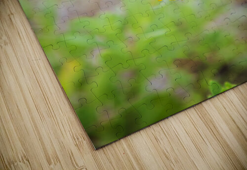 2022 June 10 IndnBlnkt01 Robert Decker puzzle