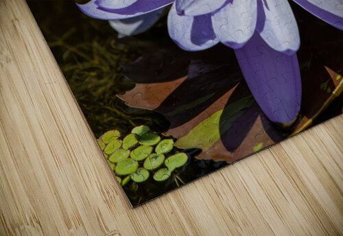 Water Lilies Ercan Ekinci puzzle
