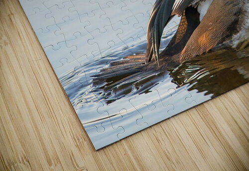 MERRIT ISLAND  Ercan Ekinci puzzle