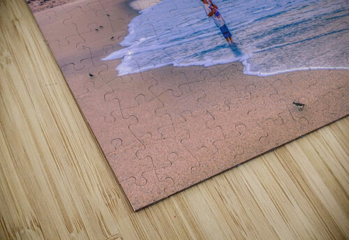 SEBASTIAN INLET FISHING Ercan Ekinci puzzle