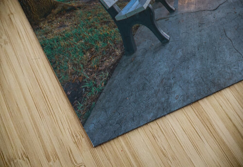   MELBOURNE BEACH PIER Ercan Ekinci puzzle