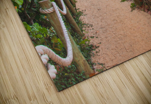  Cocoa Beach FL Ercan Ekinci puzzle