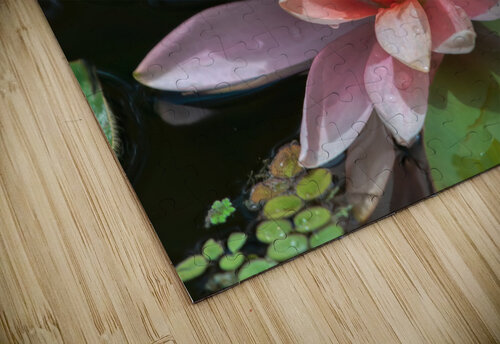   Water Lilies Ercan Ekinci puzzle