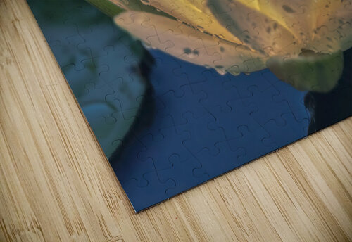 Water Lilies Ercan Ekinci puzzle