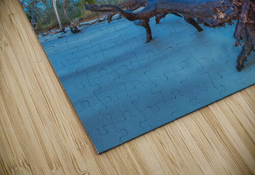 Driftwood Beach Ercan Ekinci puzzle