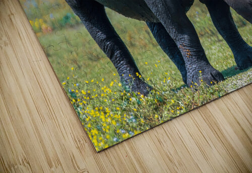 RHINO Ercan Ekinci puzzle